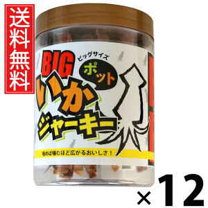 W[L[rbO|bg 100g × 12 oGWp  ^ CJW[L[ ܂ݒ \tgW[L[ XibN eʂ܂ POT^Cv CN r[ɍ ӎނ