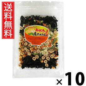 みそ汁の具だくさん 135g × 10袋 江戸屋 送料無料 ／ 味噌汁の具 インスタント具材 フリーズドライ具材 乾燥野菜 乾燥わかめ みそ汁用乾燥具材 大容量 即席味噌汁 簡単みそ汁 野菜たっぷり味噌汁 お湯を注ぐだけ 時短料理 保存食 非常食 常備食 お弁当のお供 ローカロリー
