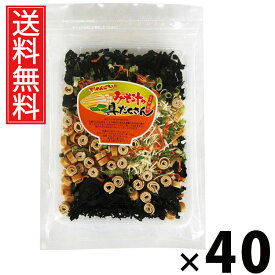 みそ汁の具だくさん 135g × 40袋 江戸屋 送料無料 ／ 味噌汁の具 インスタント具材 フリーズドライ具材 乾燥野菜 乾燥わかめ みそ汁用乾燥具材 大容量 即席味噌汁 簡単みそ汁 野菜たっぷり味噌汁 お湯を注ぐだけ 時短料理 保存食 非常食 常備食 お弁当のお供 ローカロリー