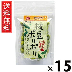 }|| 21g × 15 ]ˉ  ^ } ΂XibN nXibN ܂ XibN H@ ̉h{ N wV[XibN ٓ r[̂ q