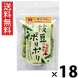 }|| 21g × 18 ]ˉ  ^ } ΂XibN nXibN ܂ XibN H@ ̉h{ N wV[XibN ٓ r[̂ q