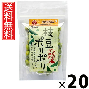 }|| 21g × 20 ]ˉ  ^ } ΂XibN nXibN ܂ XibN H@ ̉h{ N wV[XibN ٓ r[̂ q