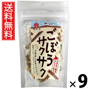 ڂTNTN 21g × 9 ]ˉ  ^ ڂXibN ڂ`bvX TNTNڂ 21g ؃XibN ؂ H@ۂՂ mtCXibN ΂ڂ ڂَq 