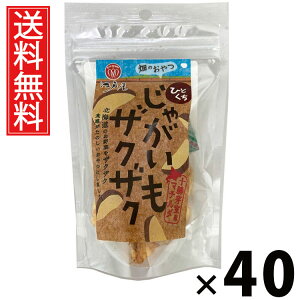 ЂƂႪUNUN 32g × 40 ]ˉ  ^ |egXibN ؃XibN ؃`bvX ܃XibN  TNTNH XibN ΂|eg wV[Xi