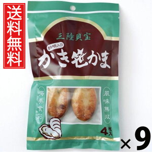  4 × 9 Y  ^ {閼  ܂ {錧Yy 荞   ^pbN 퉷ۑ kyY yY syY yY Mtg v
