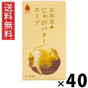 kCႪo^[X[v 5g×4ܓ 20g × 40 ЃO[Yk  ^ Ⴊo^[X[v Ⴊ Ⴊo^[ CX^gX[v ȃX[v |^[W  4ܓ 