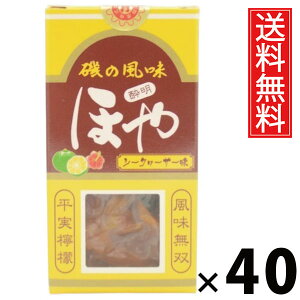 ق␌ V[N[T[ 12g × 40 Y  ^ V[N[T[ {錧Yz  Y V[N[T[ R{ C̍ ق k ̍ ܂ r[