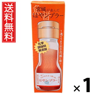 {邪Y ق⃓v[ 35g 1 Y  ^ {錧Yz  Y | zGLX  iv[ pX^ɍ `[nɍ Ăɍ {