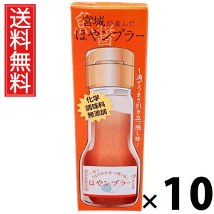 {邪Y ق⃓v[ 35g × 10 Y  ^ {錧Yz  Y | zGLX  iv[ pX^ɍ `[nɍ Ăɍ 