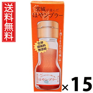 {邪Y ق⃓v[ 35g × 15 Y  ^ {錧Yz  Y | zGLX  iv[ pX^ɍ `[nɍ Ăɍ 