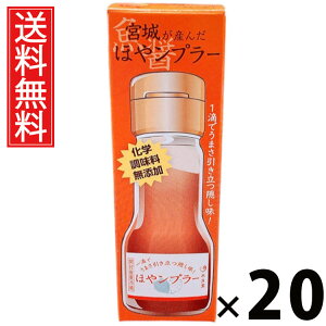 {邪Y ق⃓v[ 35g × 20 Y  ^ {錧Yz  Y | zGLX  iv[ pX^ɍ `[nɍ Ăɍ 