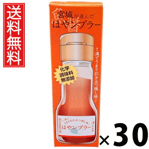 {邪Y ق⃓v[ 35g × 30 Y  ^ {錧Yz  Y | zGLX  iv[ pX^ɍ `[nɍ Ăɍ 