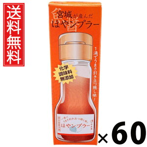 {邪Y ق⃓v[ 35g × 60 Y  ^ {錧Yz  Y | zGLX  iv[ pX^ɍ `[nɍ Ăɍ 