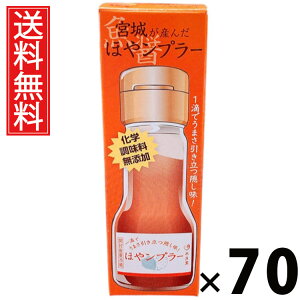 {邪Y ق⃓v[ 35g × 70 Y  ^ {錧Yz  Y | zGLX  iv[ pX^ɍ `[nɍ Ăɍ 