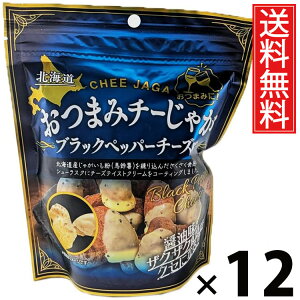 ܂݃`[Ⴊ ubNybp[`[Y 20g × 12 ACP[t[Y  ^ XibN `[Y |eg Ⴊ ubNybp[ َq ܂  r[ ɍ ӎ 