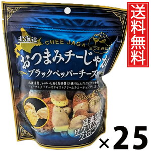 ܂݃`[Ⴊ ubNybp[`[Y 20g × 25 ACP[t[Y  ^ XibN `[Y |eg Ⴊ ubNybp[ َq ܂  r[ ɍ ӎ 