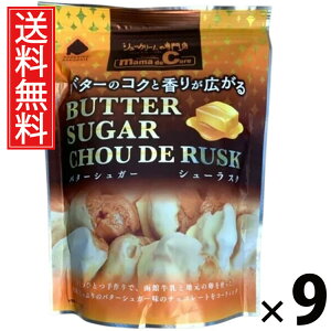 V[XNSP o^[VK[ 40g × 9 ACP[t[Y  ^  mَq َq XC[c o^[ VK[ TNTN   eB[^C R[q[ g Q Mtg v