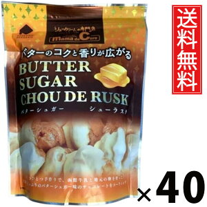 V[XNSP o^[VK[ 40g × 40 ACP[t[Y  ^  mَq َq XC[c o^[ VK[ TNTN   eB[^C R[q[ g Q Mtg v