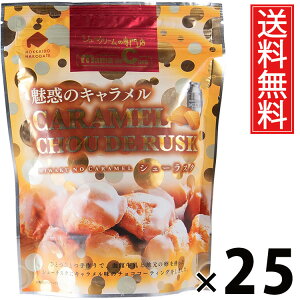 V[XNSP L 40g × 25 ACP[t[Y  ^  mَq َq XC[c L TNTN  eB[^C R[q[ g Q Mtg v[g 