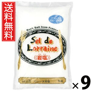 [k≖ 1kg × 9 ()  ^ tX [k ≖ VR  p e e T_ pX^   ֗Lb`  Mtg 蕨  L 