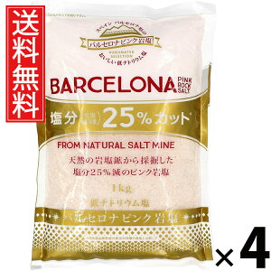 oZi sN≖ 1kg × 4 ()  ^ VR≖ Hp p ~lLx O  XyCY [bpA ≖ sN\g bN\g e Ɩp ƒp p