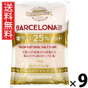 oZi sN≖ 1kg × 9 ()  ^ VR≖ Hp p ~lLx O  XyCY [bpA ≖ sN\g bN\g e Ɩp ƒp p