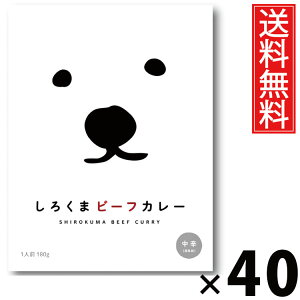 ^[ 낭܃r[tJ[ 180g × 40  ^ r[tJ[ kC nO ggJ[ {iJ[ ggHi 퉷ۑ ȒP Z͂ т̂ 