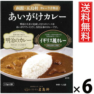 五島軒 あいがけカレー 110×2袋 × 6個 送料無料 / 2種セット レトルトカレー 本格カレー 老舗洋食店 北海道 ご当地カレー ご飯のお供 贈答用 ギフト 手軽調理 常温保存 家庭で本格 贅沢カレ