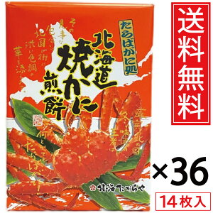 kCĂɐ 14 × 36Zbg (1P[X)  kC ^ Jj  ^oKj ΂ ΊI ^oI ĂI Ă ĂKj Ă kC P[X 