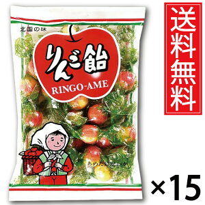 񂲈 110g × 15܃Zbg  J ^ kC kC  ܂Ƃߔ ݂₰ yY n n n v`Mtg ̂Ȃ LfB   Lf[ 