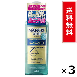 NANOX one PRO �{�̑� 600g × 3�Z�b�g LION ���������^�|�C���g10�{ pt10�{ NANOX one PRO �{�̑� 600g LION ���C�I�� �������� �ʔ� �܂Ƃߔ��� �P�[�X���� �Ɩ��p �X�g�b�N �����u�� ���p�i �����p�i ����
