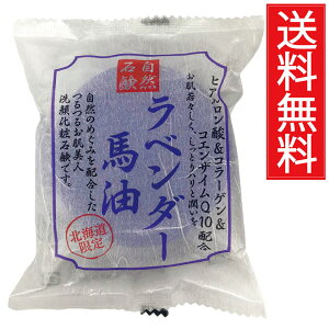 x_[nΌ 100g qA_ & R[Q & RGUCQ10 z RΌ st^ n ΂ Ԃ o[ \[v  XLPA    q kC