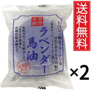 x_[nΌ 100g × 2Zbg qA_ & R[Q & RGUCQ10 z RΌ st^ n ΂ Ԃ o[ \[v  XLPA    q