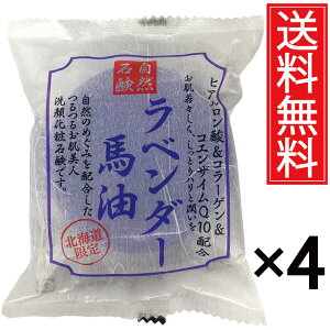 x_[nΌ 100g × 4Zbg qA_ & R[Q & RGUCQ10 z RΌ st^ n ΂ Ԃ o[ \[v  XLPA    q