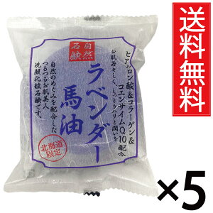 x_[nΌ 100g × 5Zbg qA_ & R[Q & RGUCQ10 z RΌ st^ n ΂ Ԃ o[ \[v  XLPA    q