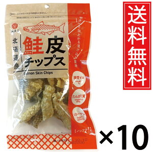 kCY `bvX 14g × 10  ]ˉ ^    TP VP T[ ̔ `bvX kC Y[ [ Y0 0 PgWFjbN _CGbg ς