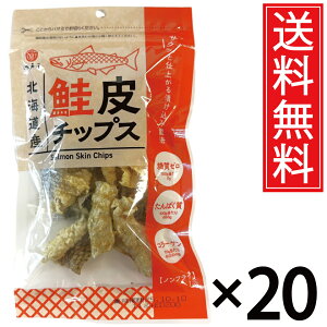 kCY `bvX 14g × 20  ]ˉ ^    TP VP T[ ̔ `bvX kC Y[ [ Y0 0 PgWFjbN _CGbg ς