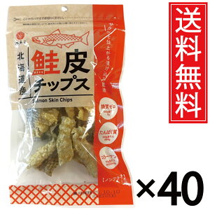 kCY `bvX 14g × 40  ]ˉ ^    TP VP T[ ̔ `bvX kC Y[ [ Y0 0 PgWFjbN _CGbg ς