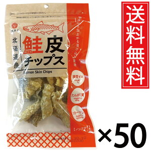 kCY `bvX 14g × 50  ]ˉ ^    TP VP T[ ̔ `bvX kC Y[ [ Y0 0 PgWFjbN _CGbg ς