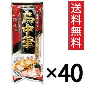  248g (2lO) × 40  R`h݂ ݂Hi ^ }cR̒mȂE  [ [߂ f Ƃ肿イ   Ή̒ k R`   Ή R`