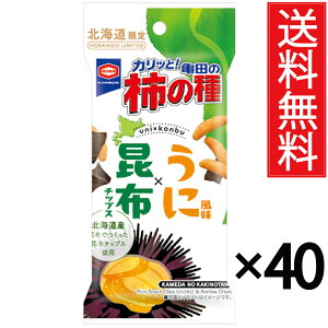 kC `̎ ɕ × z`bvX 37g × 40܃Zbg ( 4P[X ) Tc  ^ AWJ  ^Cv kC  َq  n Mtg v[g Tc |Cg