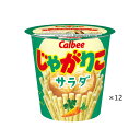 カルビー じゃがりこ サラダ味 57g × 12個 スナック菓子 小分け ボックス パッケージ calbee オリジナル きりん キャラクター 味 種類 まとめ買い ストック お菓子 買い置き 収納 保存 常温 子供 おやつ 間食 ピクニック 大容量 業務用 トク サラダ【Costco コストコ】