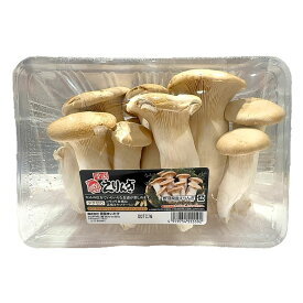 雪国えりんぎ 500g 新潟県産 新鮮 きのこ 冷蔵 菌類 保存 エリンギ 産地 国産 日本 生鮮食品 料理 具材 食材 調理 料理 クッキング レシピ アレンジ 食べ方 食感 大容量 ストック 常備 まとめ買い 買い置き 中華 和食 炒め物【Costco コストコ】