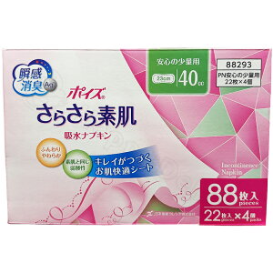 |CY 炳f zivL uԏLAG{ ʗp40cc 88i22×4܁j r H Iѕ  cc RXgR Rbg  e Ɩp u ܂Ƃߔ  ~ h 