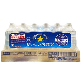 ポッカサッポロ おいしい炭酸水 600ml×24本 炭酸割り 炭酸 ブランド メーカー 24本 まとめ買い 600ml 大容量 買い置き 備蓄 常備 ウィスキー お酒 効果 健康 ダイエット 効能 効能 作り方 冷蔵 保存 賞味期限 肌 サワー ジュース 飲料 食品 レモン 髪【Costco コストコ】