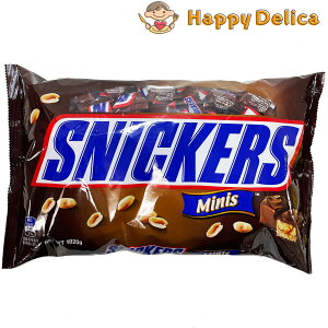 }[X XjbJ[Y SNICKERS ~j`A `R[g 1020g ``R o^C At^k[eB[ ACX  e ~jMtg zCgf[ lC  َq J[ H