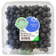 冷蔵 生 ブルーベリー 510g Blueberries フルーツ 果物 食品 ヨーグルト ケーキ おやつ 朝食 料理 ダイエ…