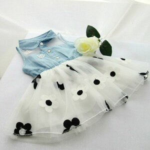 ylR|X֑zq s[X  q s[X \ m[X[us[X fj×VtH VtH qǂ ăs[X