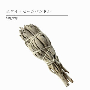 zCgZ[Woh n[u  |WeBu  lCeBu Z[W zCgZ[W VR  Zs[ bNX ґz ZtPA 