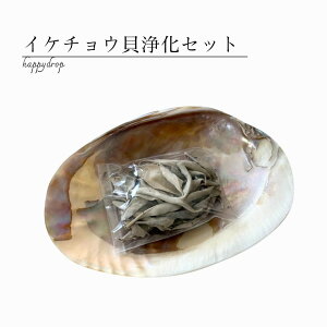 CP`EL򉻃Zbg CP`EL n[u Z[W zCgZ[W VR  Zs[ bNX ґz ZtPA  CeA